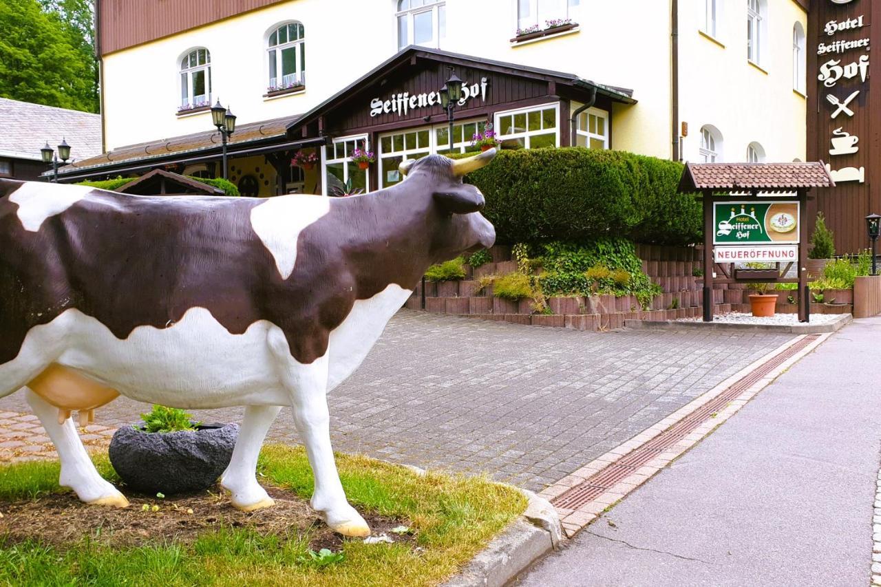 Hotel Seiffener Hof*** Eksteriør billede